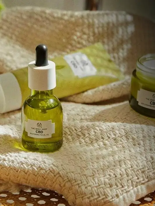 Checked In: Travel Style Collaborations