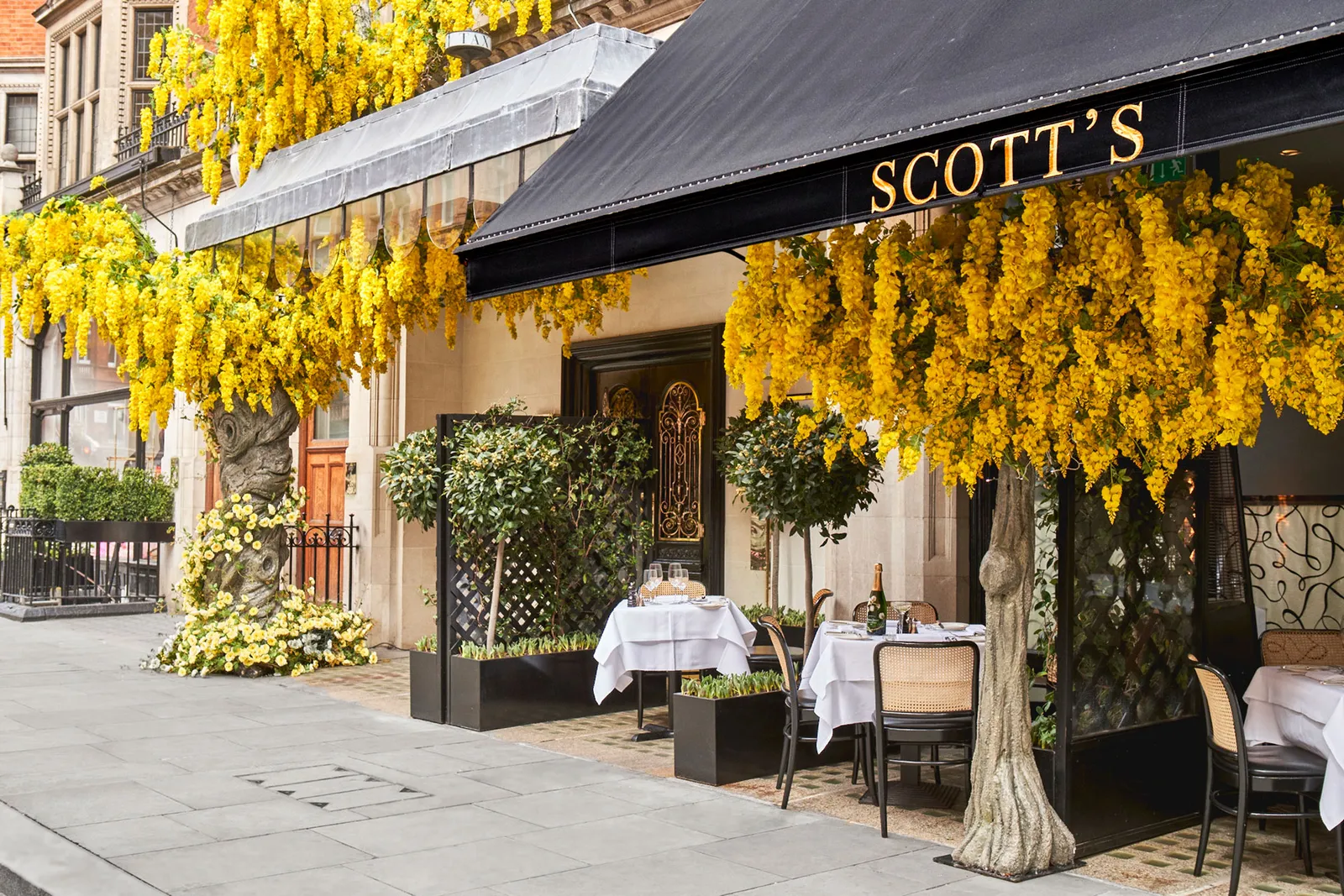 The Experience Yield: Why DIAFA’s £1.4bn Bet Signals Luxury’s Next Asset Class